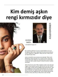 D-Shee Business dergisi köşe yazısı. Ekrem Sağel